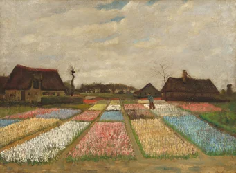 Parterres de fleurs en Hollande / Champs de bulbes